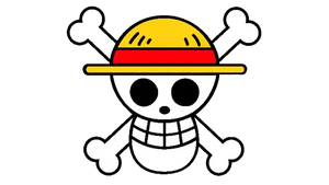 Luffy One Piece Anime Kit in black and gold, worn by fan and delivered by NipponKits Store The best Luffy Jerseys