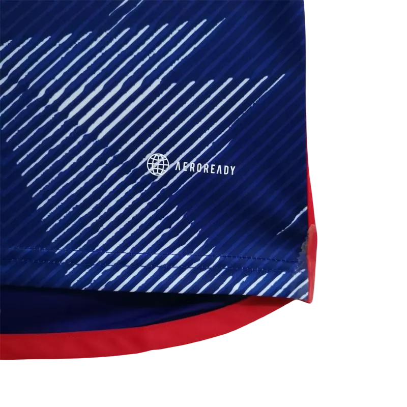 Japan Football Kit 2022 Fan Edition – NipponKits