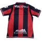 J league jersey Hokkaido Consadole Sapporo 2021 home red black authentic striped design