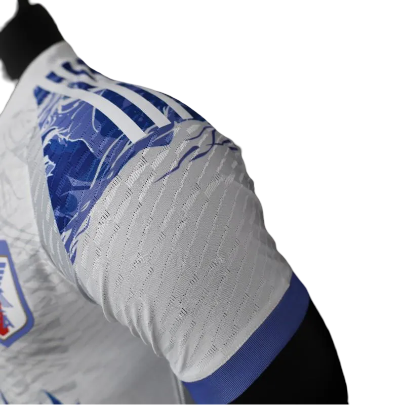 Rare Japan Soccer Jersey Dragon Design – NipponKits
