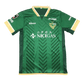 Tokyo verdy jersey 24/25 home green chevron design authentic j league jersey NICIGAS