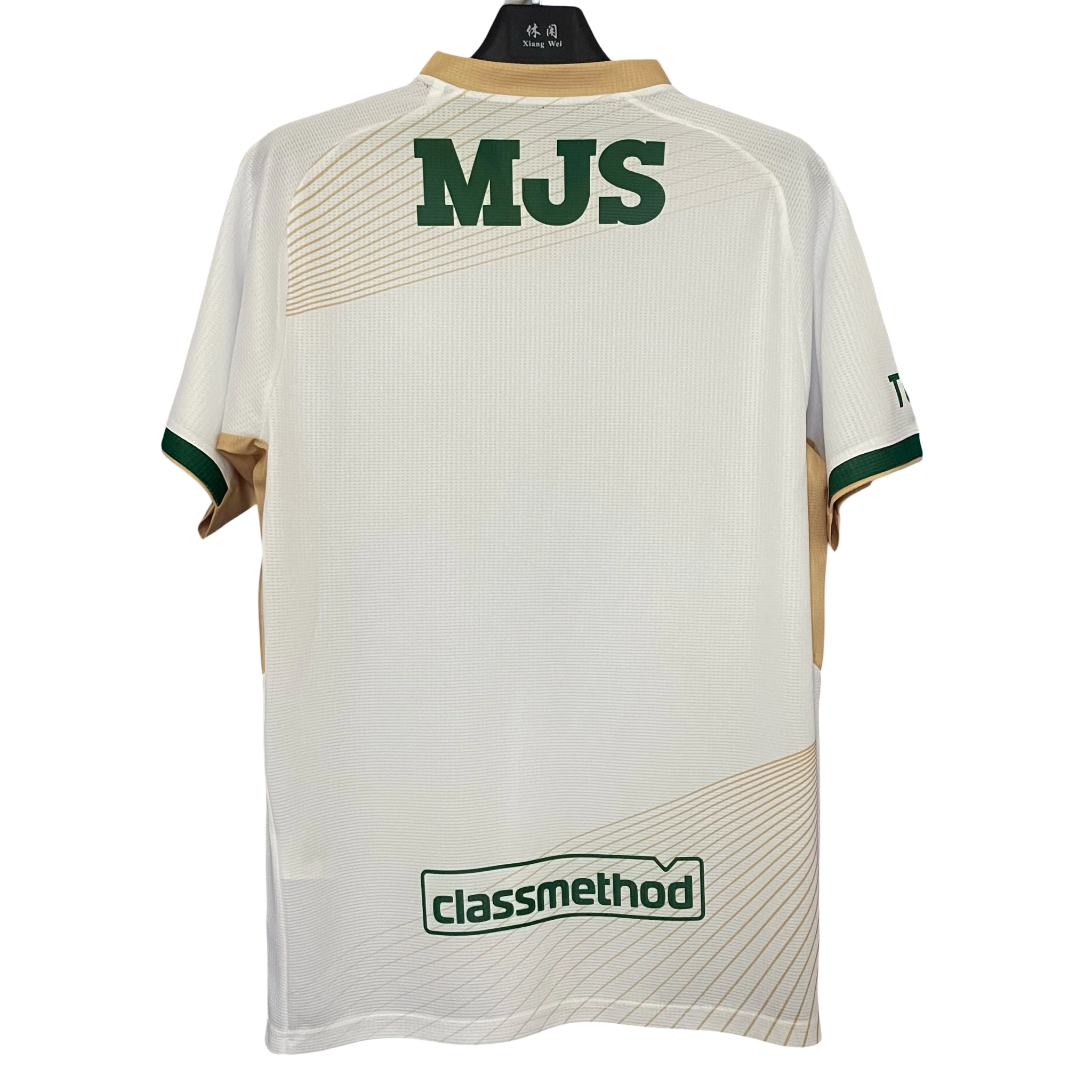 Tokyo Verdy J.League 2025/26 Away Kit Fan Version front view