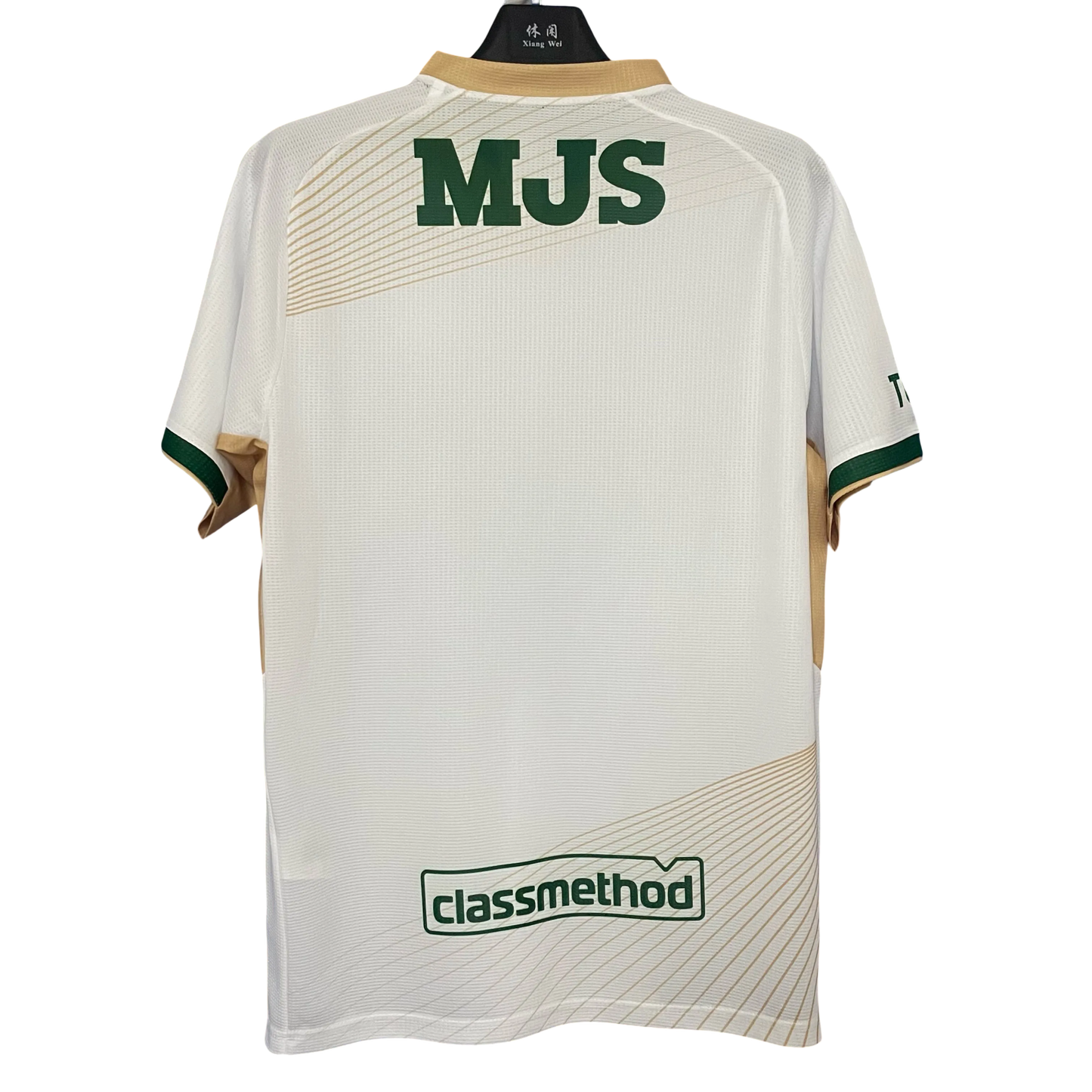 Tokyo Verdy J.League 2025/26 Away Kit Fan Version front view