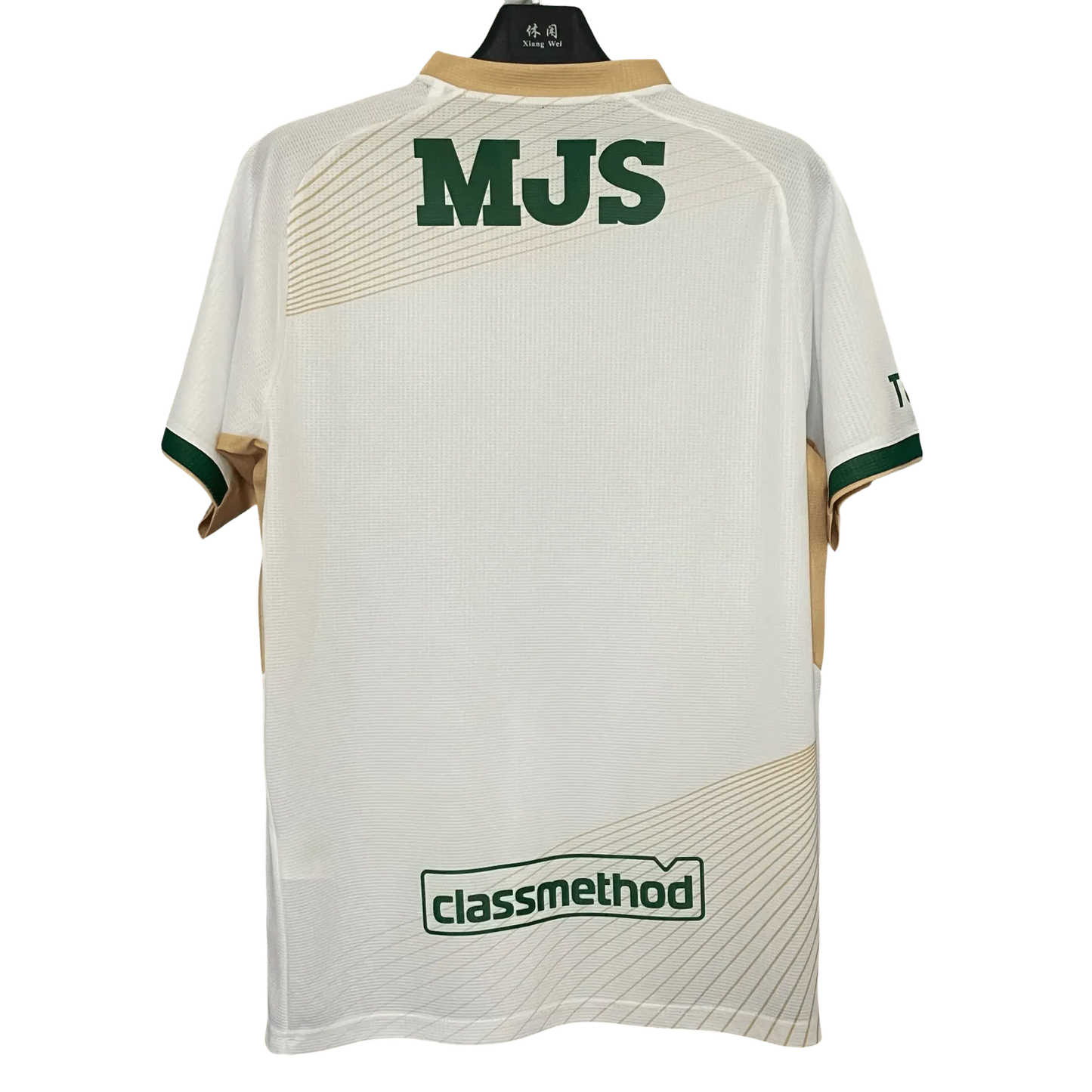 Tokyo Verdy J.League 2025/26 Away Kit Fan Version front view